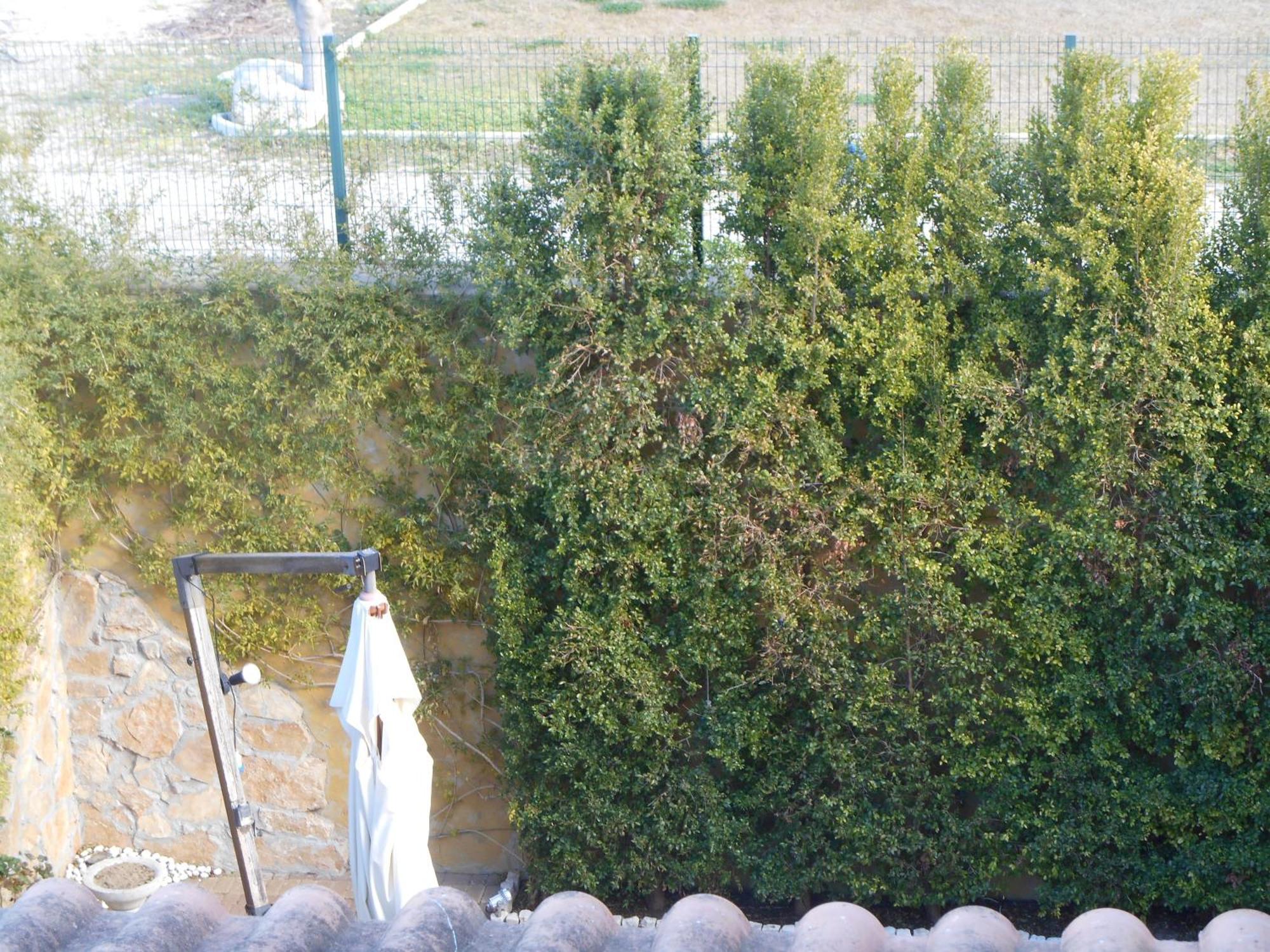 Bed & Breakfast Giardini Di Marzo Lecce Buitenkant foto